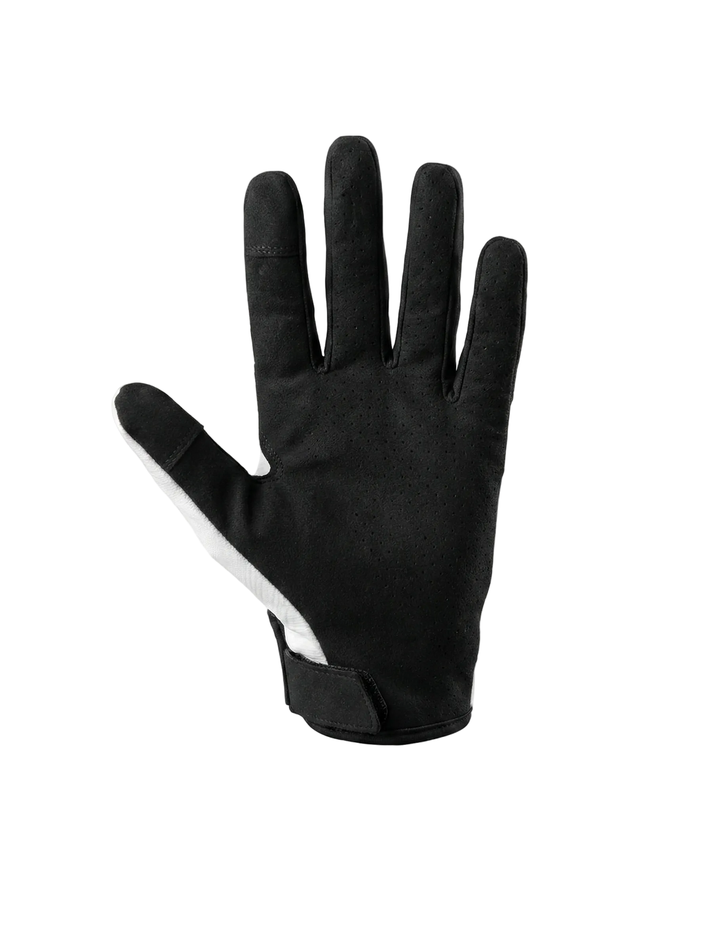 VORBESTELLER - NeonVision Glove-Package